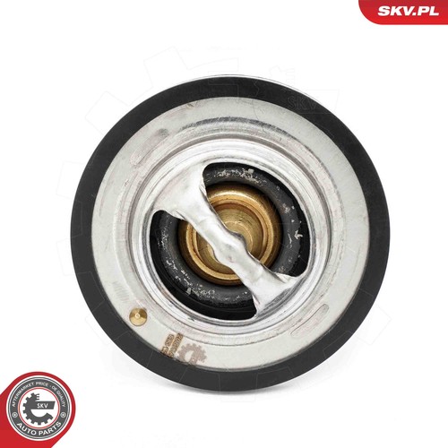 Fits skv germany 20skv219 - skv,