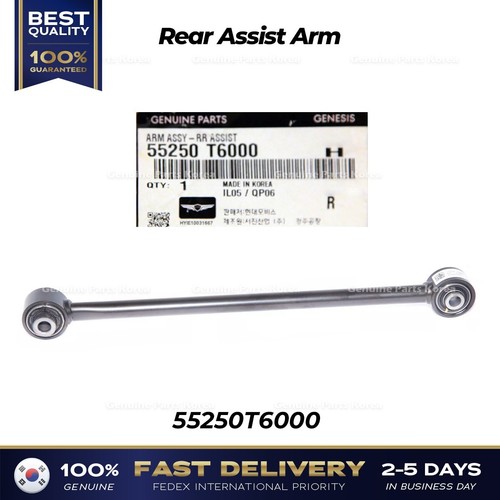 Genuine rear assist arm - rear,