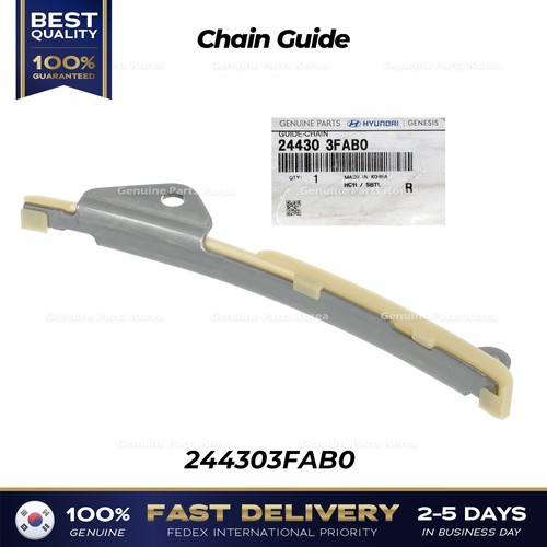 Genuine chain guide - chain,