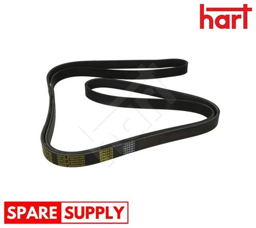 Ribbed belt for - v-ribbed,