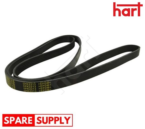 Ribbed belt for - v-ribbed,